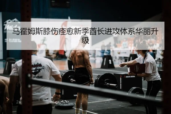 马霍姆斯膝伤痊愈新季酋长进攻体系华丽升级
